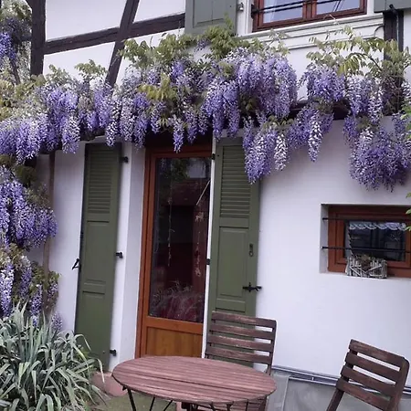 Gitehaushaltermerkwiller Apartment Merkwiller-Pechelbronn